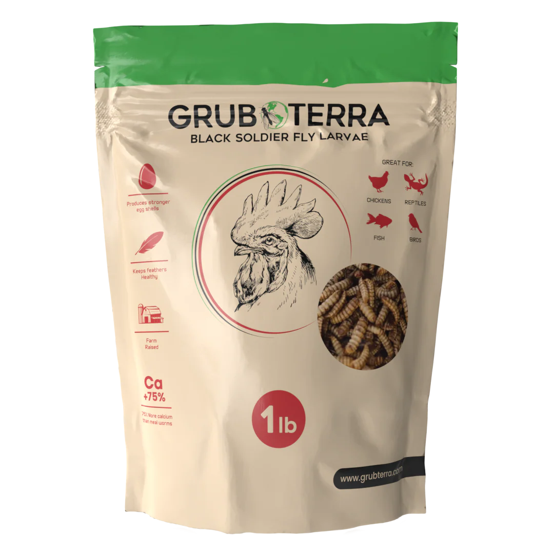 Dried Grubs